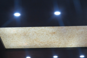 Flora Translucent Stone Ceilings