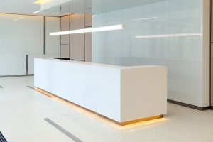 Solid Surface Reception Counters